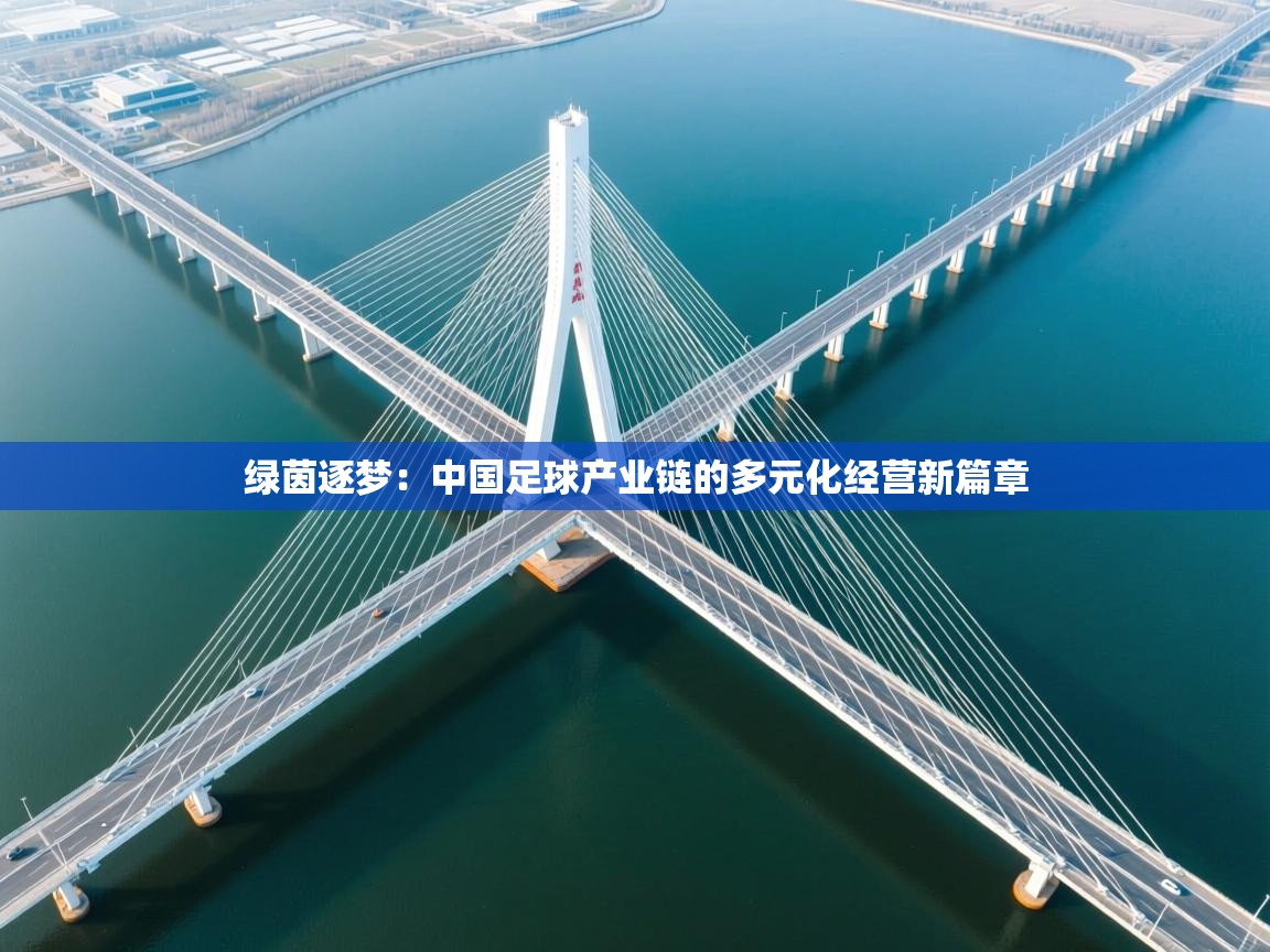 绿茵逐梦：中国足球产业链的多元化经营新篇章
